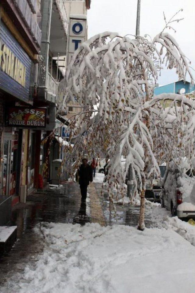 Ardahan'ın Posof Ilçesinde Okullara Kar Tatili (2)