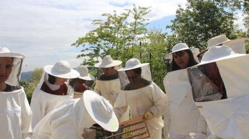 Arıcı Kadınlar Kilosu 10 Bin Tl Olan &lsquo;Arı S&uuml;t&uuml;&rsquo; &Uuml;retecek