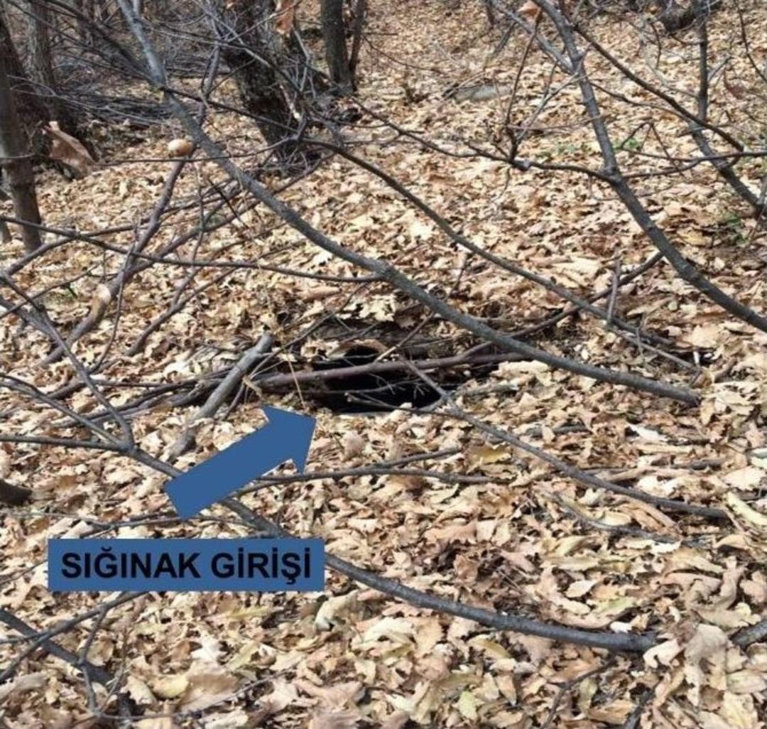 Ter&ouml;r &Ouml;rg&uuml;t&uuml;n&uuml;n 11 Odalı Sığınağından Cephane &Ccedil;ıktı