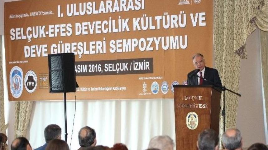 Uluslararası Sel&ccedil;uk-efes Devecilik K&uuml;lt&uuml;r&uuml; Ve Deve G&uuml;reşleri Sempozyumu Başladı