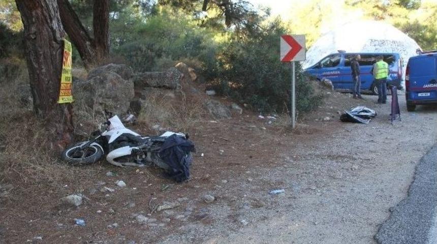 Ekmeğinin Yolunda &Ouml;ld&uuml;