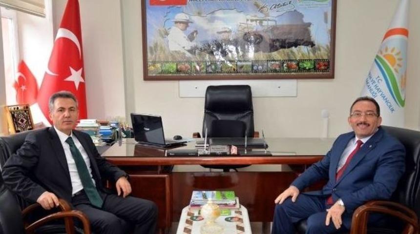 Vali Elban, &ldquo;bilecik Ekonomisinin Temellerinden Birisi Tarım Sekt&ouml;r&uuml;&rdquo;