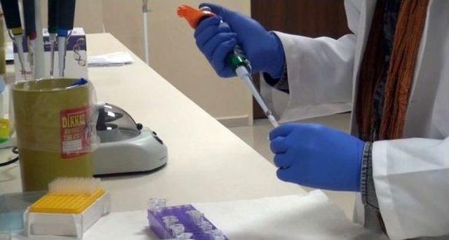 T&uuml;rkiye&rsquo;deki 5 Farklı Kuş T&uuml;r&uuml;nde 54 Yeni Genetik Yapı Tespit Edildi 2