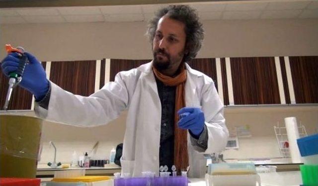 T&uuml;rkiye&rsquo;deki 5 Farklı Kuş T&uuml;r&uuml;nde 54 Yeni Genetik Yapı Tespit Edildi 3