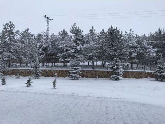 Ordu’Da Yükseklerde Kar Kalınlığı 10 Santimi Buldu