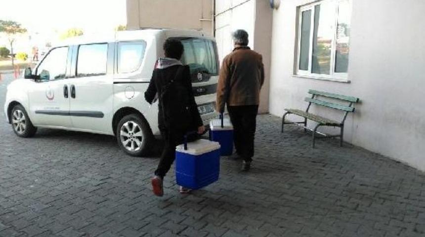 17 Yaşındaki Gencin Organları 4 Hastaya Hayat Verecek