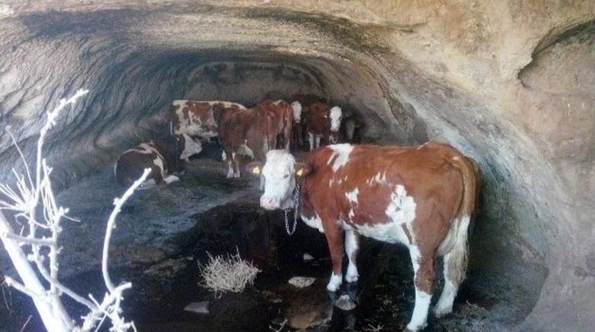 Kayseri&rsquo;de Polisin &rsquo;kızılderili Takibi&rsquo;