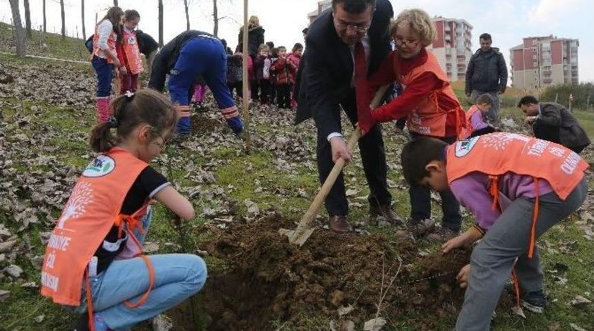 Atakum&rsquo;da Yeşil Rekor