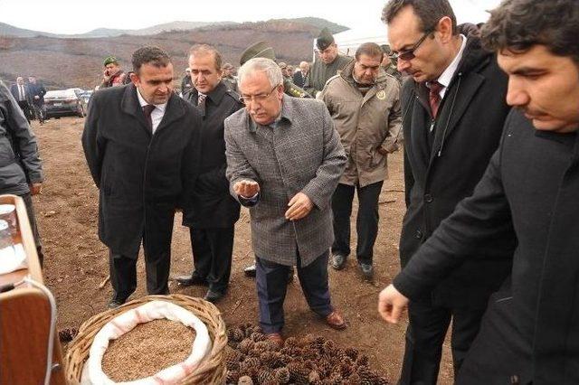 34 Milyon Tohum Toprakla Buluştu 1