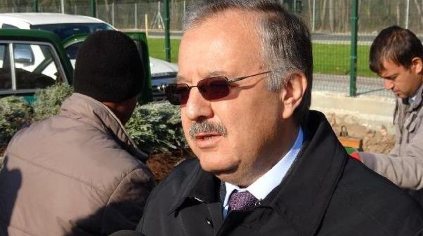 Edirne'de 10 Dekarlık Alanda Lavanta Ekimi