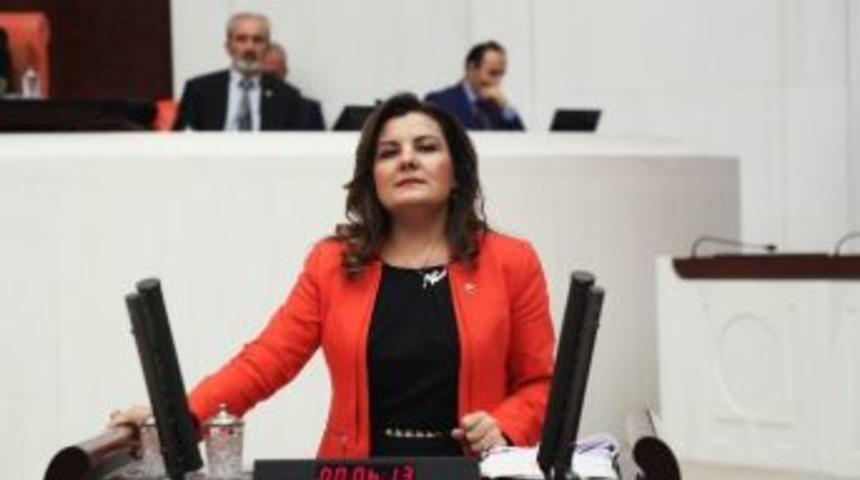 Milletvekili Hürriyet, Çevre Sorununu Meclise Taşıdı