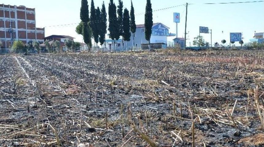 Tarlada Çıkan Yangın Benzinliği Tehdit Edince Korku Dolu Anlar Yaşandı