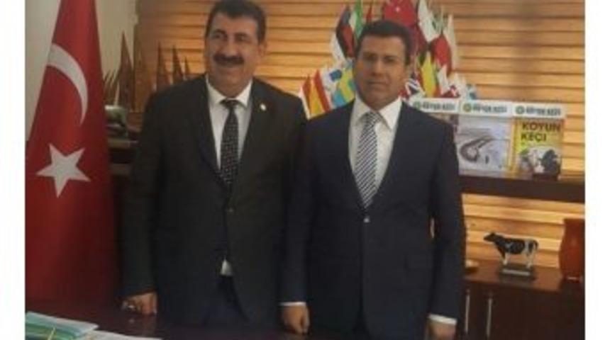 M&uuml;d&uuml;r Altuner&rsquo;den Damızlık Koyun Ke&ccedil;i Merkez Birliğine Ziyaret