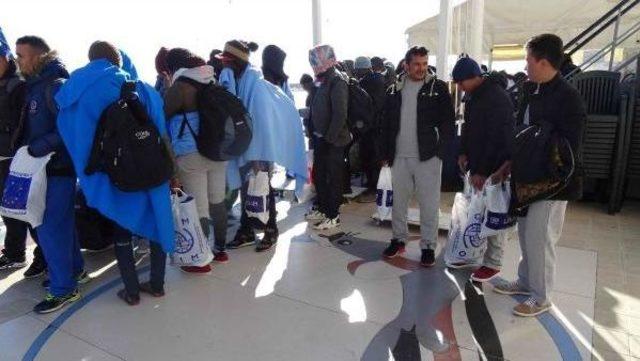 Ayvacık ta 46 Kaçak Yakalandı 1