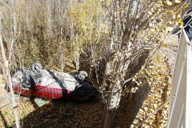 Kayısı Bahçesine Uçan Araçta Sürücü Yaralandı