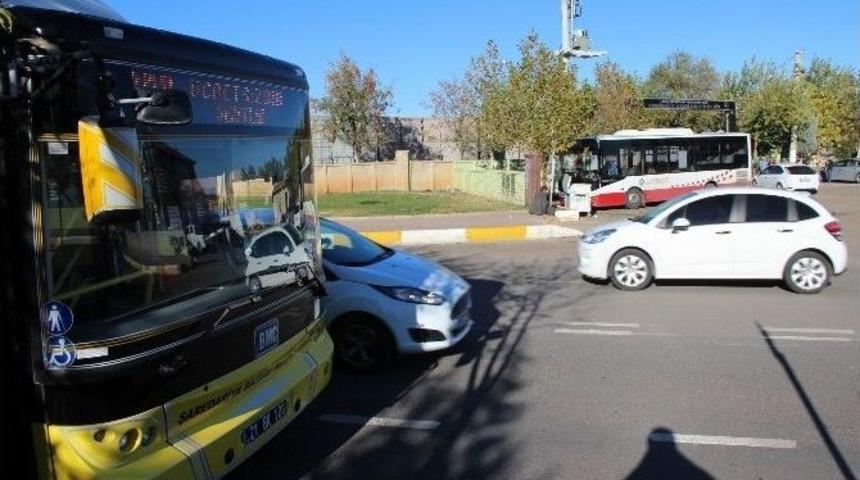 Kayyum Vatandaşları İhya Etmeye Devam Ediyor