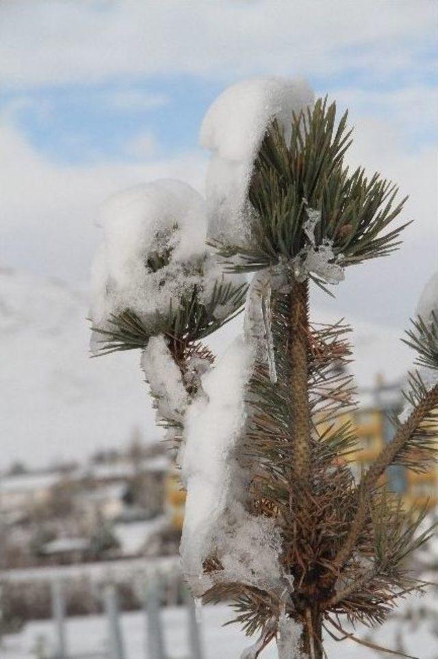 Ardahan’da Buz Tuttu