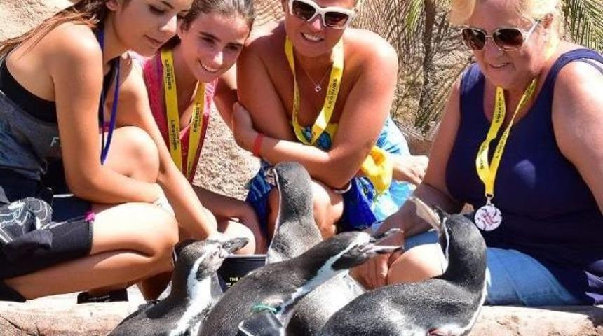 Penguen Ve Yunuslarla Tanışma Zamanı