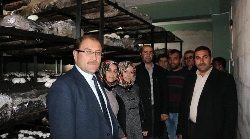 Gen&ccedil; &Ccedil;ift&ccedil;i Projesi İle Kendi İşinin Patronu Oldu