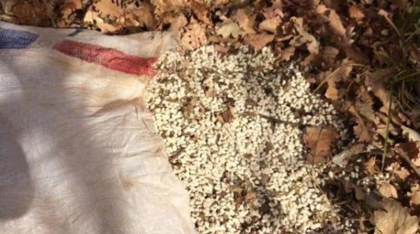 Bing&ouml;l'de Pkk'ya Ait, Biri 11 Odalı 13 Sığınak Ve 4 Mevzi Bulundu