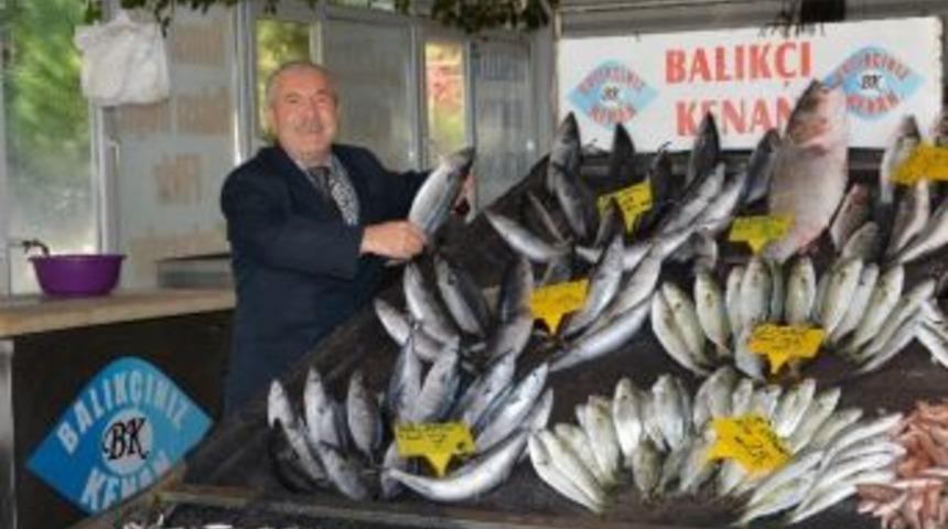 Palamuttan Sonra Sarıkanat Ve L&uuml;fer De Y&uuml;z G&uuml;ld&uuml;rd&uuml;