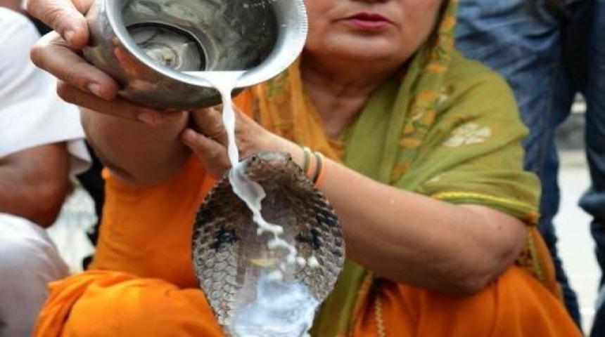 İnanılmaz festival