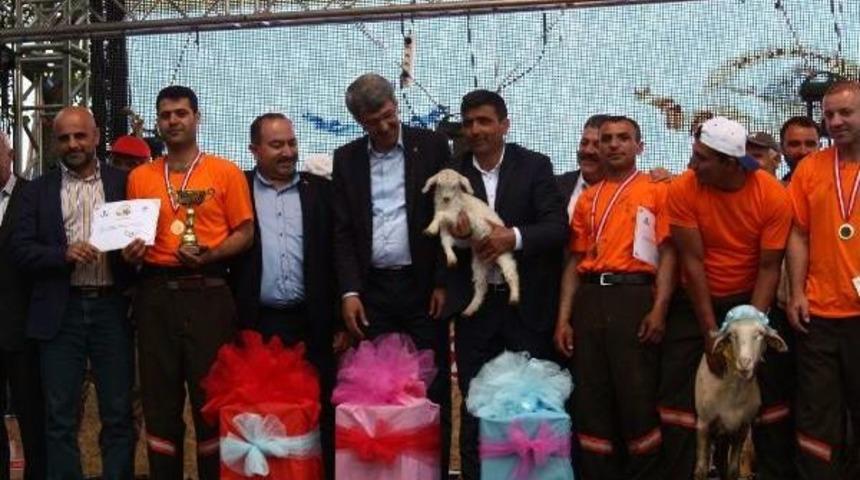 Profesyonel Kırkımcılara Teklif Yağıyor