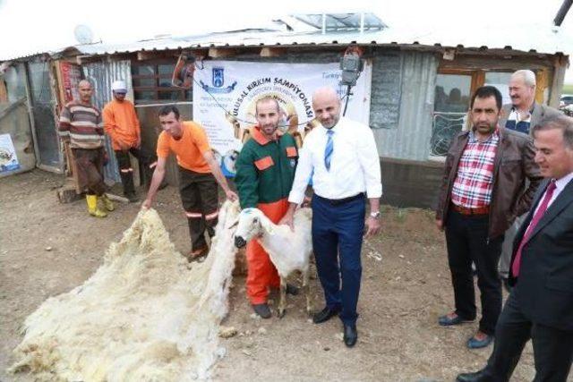 Profesyonel Kırkımcılara Teklif Yağıyor