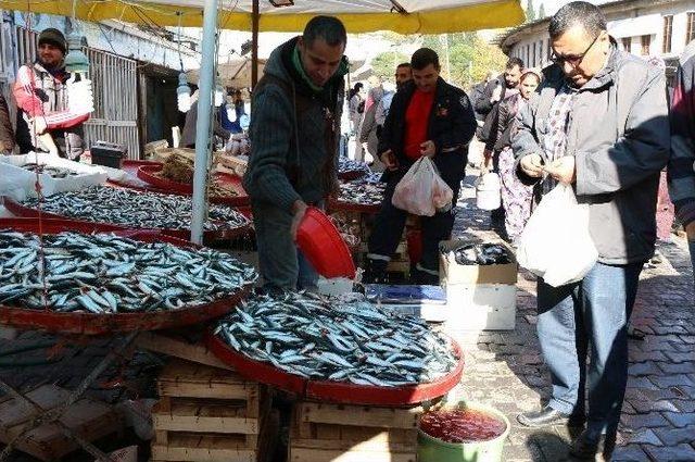 Balık Tezgahlarında Çinekop Bereketi