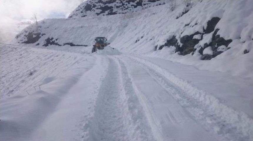 Yaylalarda Mahsur Kalan Vatandaşları B&uuml;y&uuml;kşehir Belediyesi Kurtardı