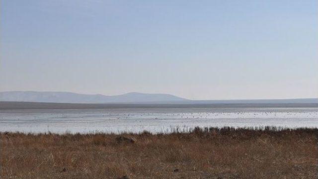 Kaymakam Öztürk, Kuyucuk Gölü´nde İncelemelerde Bulundu