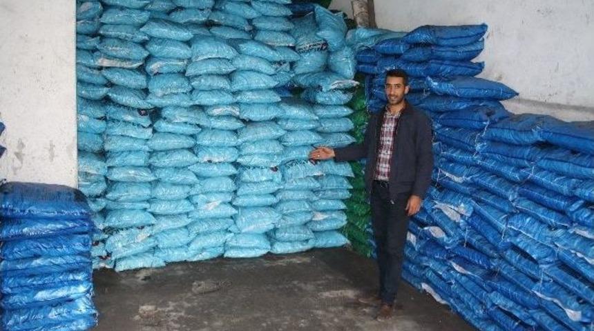 Dolar Y&uuml;kseldi, K&ouml;m&uuml;r Fiyatları Arttı