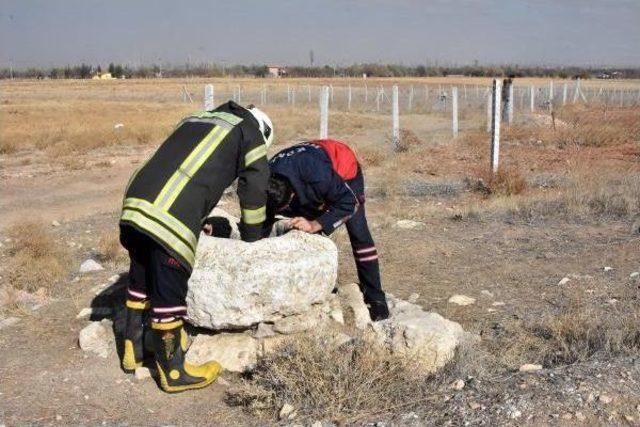 Sarnıçta Tünel Kazıp Define Ararken Yakalandılar