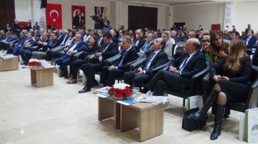 Suriye Krizinin Vurduğu Hatay'ın 'teşvikli İl' Olması Istenecek