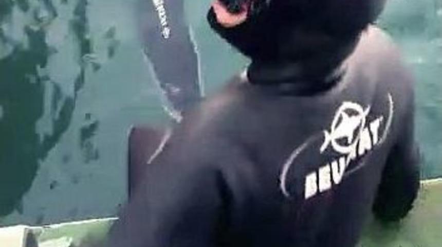 Edremit&rsquo;te Dalgı&ccedil;lar Kedi Kurtardı