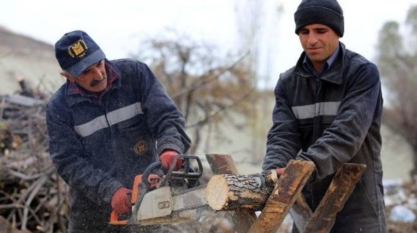 Yenimahalle&rsquo;de Budanan Ağa&ccedil;lar Vatandaşı Isıtıyor