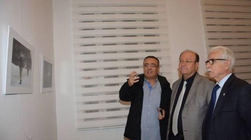 Efeler Belediyesi&rsquo;nce D&uuml;zenlenen &Ccedil;alıştaya Yoğun İlgi