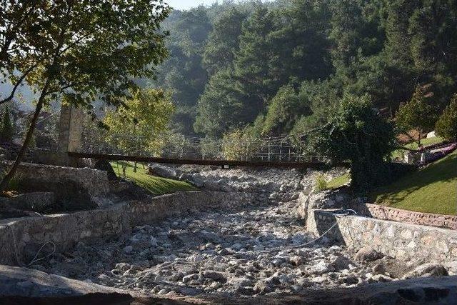 Mesir Tabiat Parkı Yakında Açılıyor