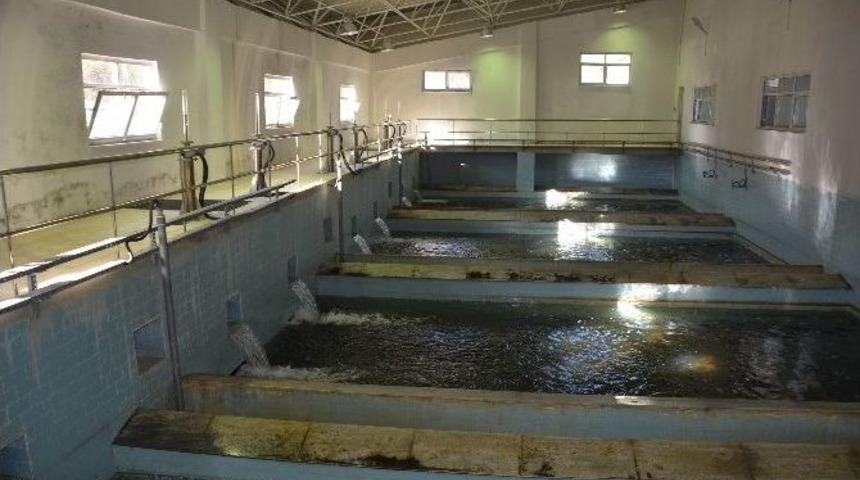 Sinop İ&ccedil;me Suyu 3 Yaşında