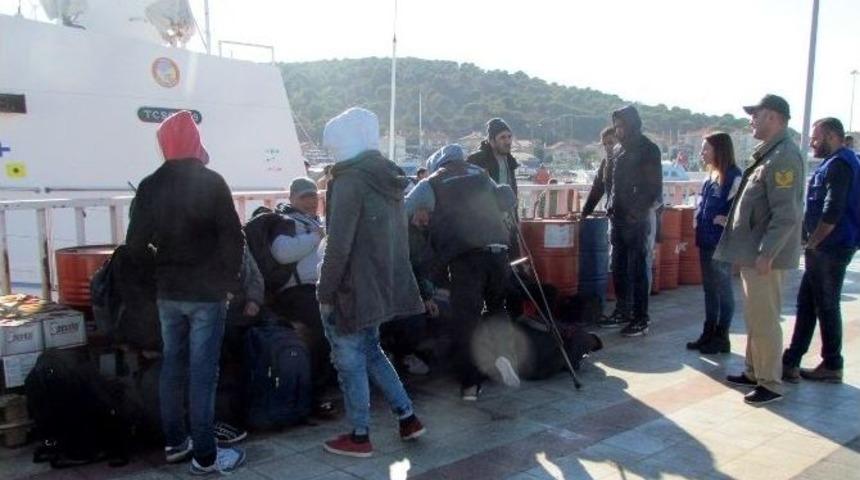 Ka&ccedil;ak Sığınmacıları Yunanistan Diye Eşek Adası&rsquo;na Bıraktılar
