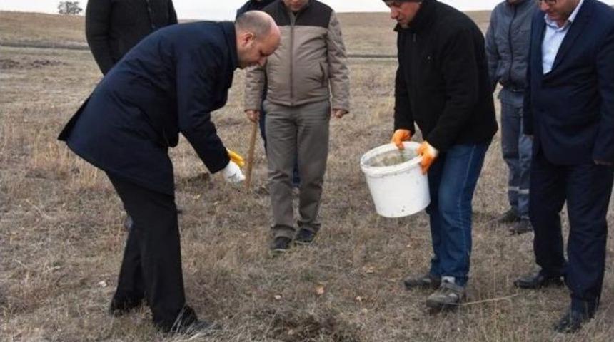 Hayrabolu Belediyesi G&ouml;let Sahasına 5 Bin Adet Meşe Palamudu Ekti