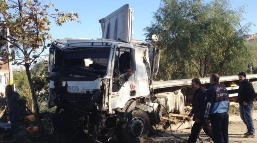 Yoldan &Ccedil;ıkan Tır Ağa&ccedil;ları Devirerek Durabildi