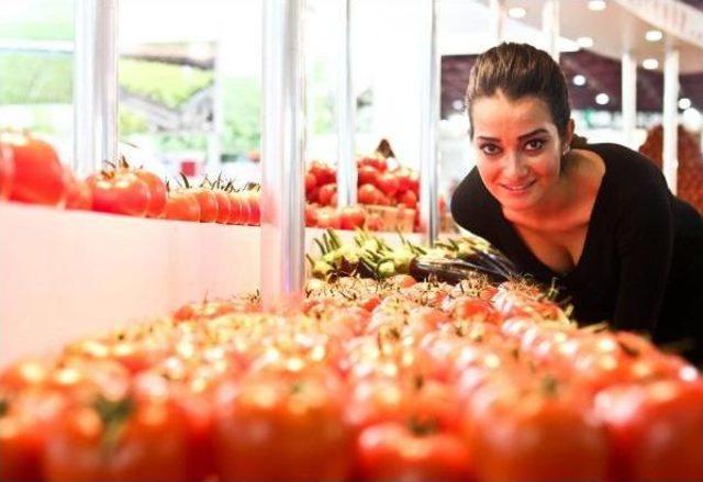 T&uuml;rkiye nin En B&uuml;y&uuml;k Tarım Fuarı Growtech 50 Bin Metrekarede 3