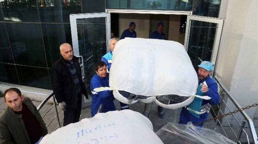 Esenyurt Belediyesi&rsquo;nden Doğu&rsquo;daki &Ccedil;ocuklara 1 Tır Dolusu Yardım