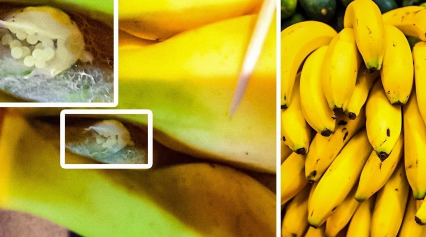 Tuzağa düşmeyin! İşte gıdalar hakkında şok eden gerçekler