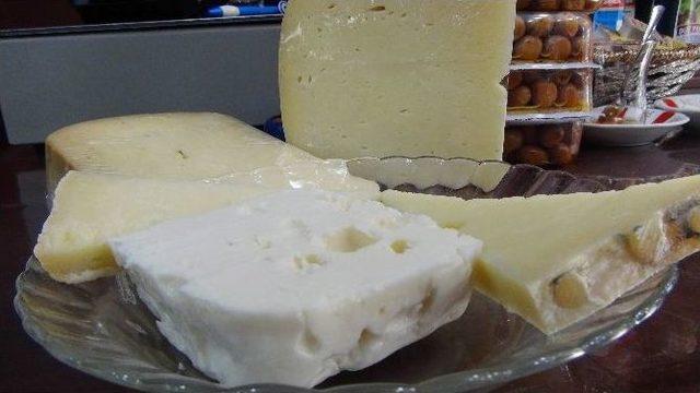 (&ouml;zel Haber) Trakya&rsquo;nın Peyniri Ve Eti D&uuml;nya Markası Olacak 2