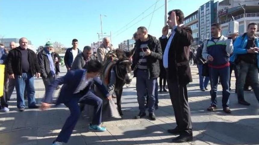 Bursa'da Ulaşım Zammı 'eşekli G&ouml;steri' Ile Protesto Edildi