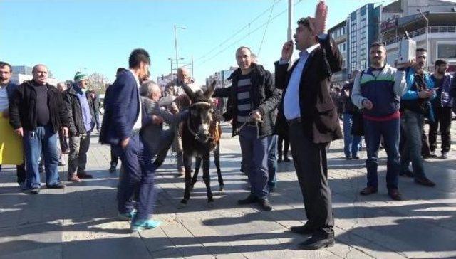 Bursa'da Ulaşım Zammı 'eşekli Gösteri' Ile Protesto Edildi