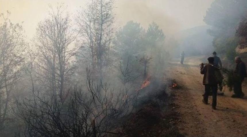 Yenice&rsquo;de Orman Yangını