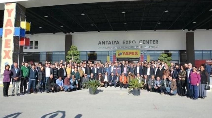 Ayto&rsquo;dan Yapex 2016 &Ccedil;ıkartması